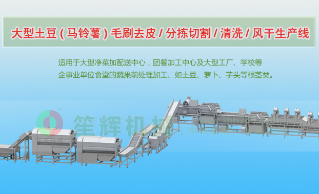 历下连续式土豆去皮清洗切割风干生产线